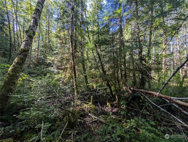 99991 Dowans Creek Rd, Forks, WA 98331