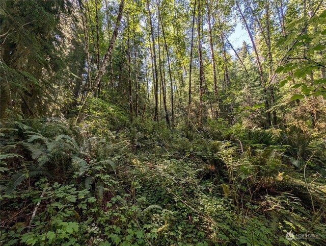99991 Dowans Creek Rd, Forks, WA 98331