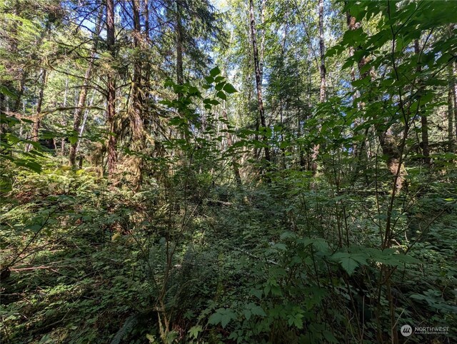 99991 Dowans Creek Rd, Forks, WA 98331
