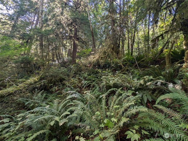 99991 Dowans Creek Rd, Forks, WA 98331