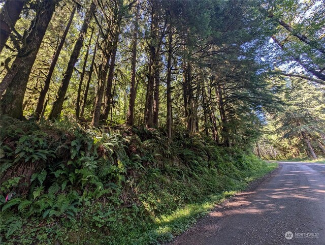 99991 Dowans Creek Rd, Forks, WA 98331