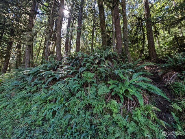 99991 Dowans Creek Rd, Forks, WA 98331