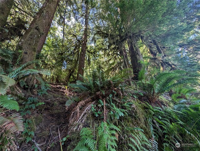 99991 Dowans Creek Rd, Forks, WA 98331