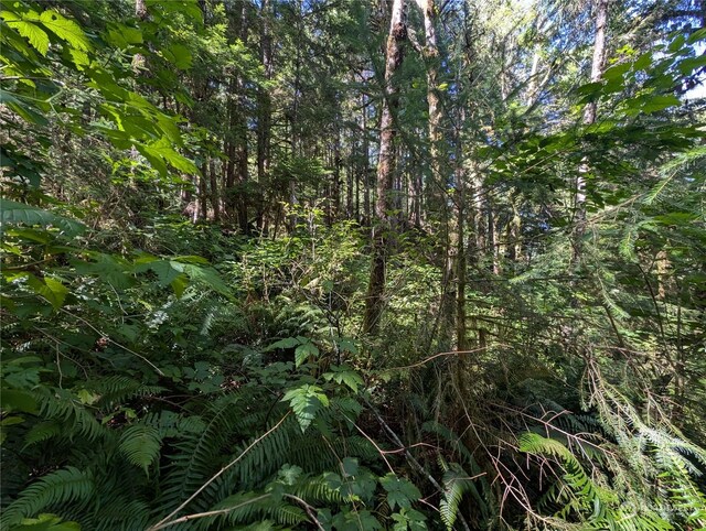 99991 Dowans Creek Rd, Forks, WA 98331
