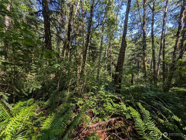 99991 Dowans Creek Rd, Forks, WA 98331