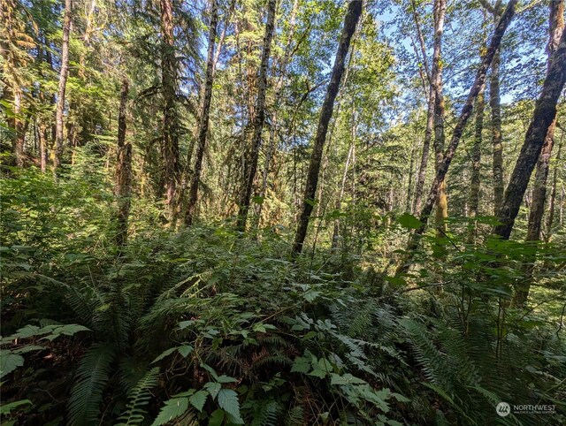 99991 Dowans Creek Rd, Forks, WA 98331