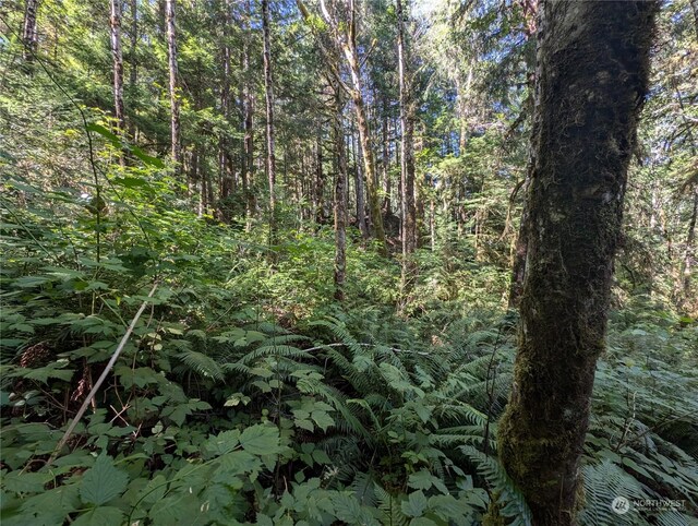 99991 Dowans Creek Rd, Forks, WA 98331