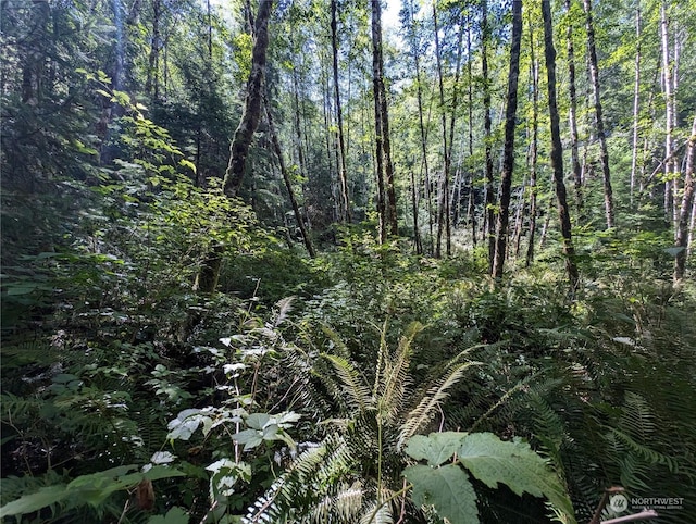 99991 Dowans Creek Rd, Forks, WA 98331