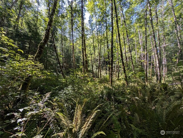 99991 Dowans Creek Rd, Forks, WA 98331