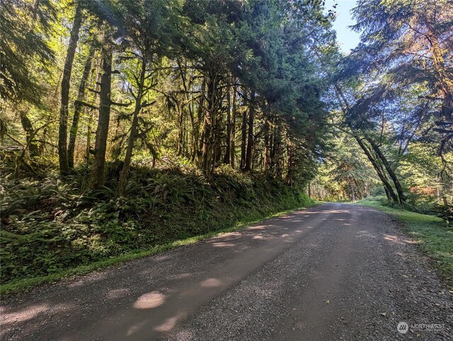99991 Dowans Creek Rd, Forks, WA 98331