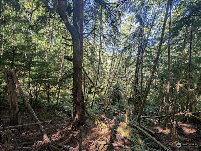 99991 Dowans Creek Rd, Forks, WA 98331