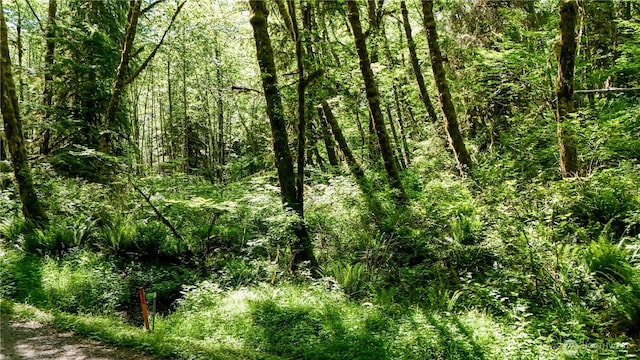 99991 Dowans Creek Rd, Forks, WA 98331