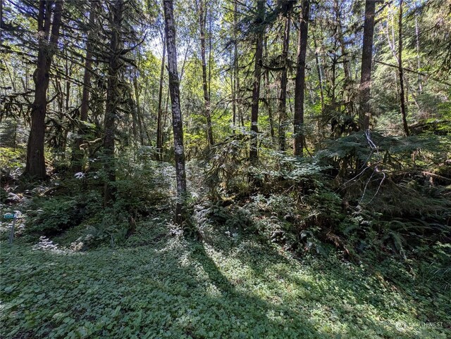 99992 Dowans Creek Rd, Forks, WA 98331
