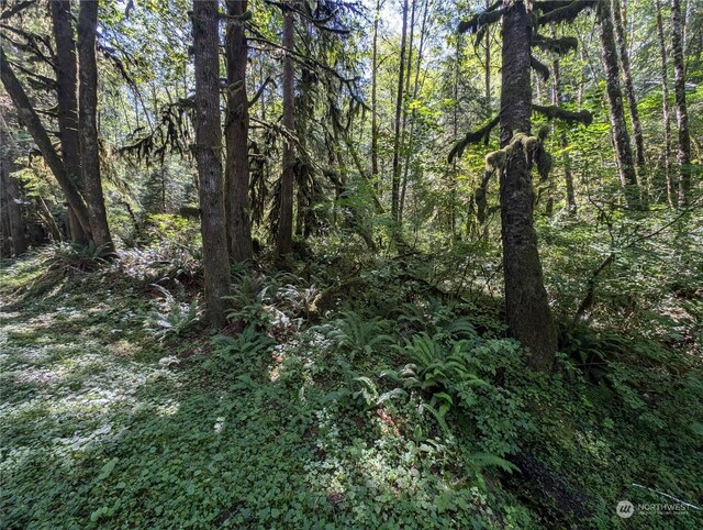 99992 Dowans Creek Rd, Forks, WA 98331