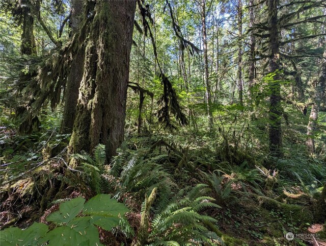 99992 Dowans Creek Rd, Forks, WA 98331