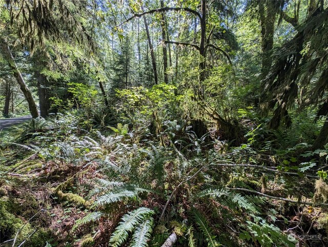 99992 Dowans Creek Rd, Forks, WA 98331