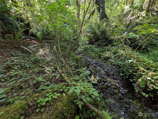 99992 Dowans Creek Rd, Forks, WA 98331