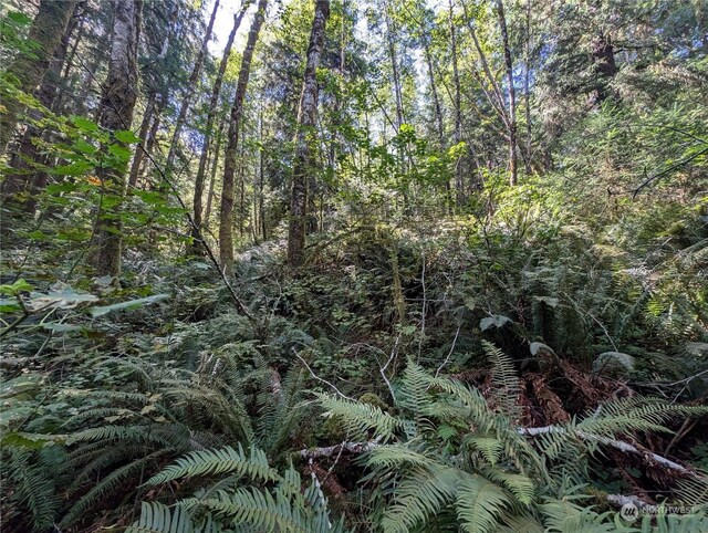 99992 Dowans Creek Rd, Forks, WA 98331