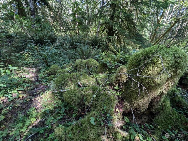 99992 Dowans Creek Rd, Forks, WA 98331