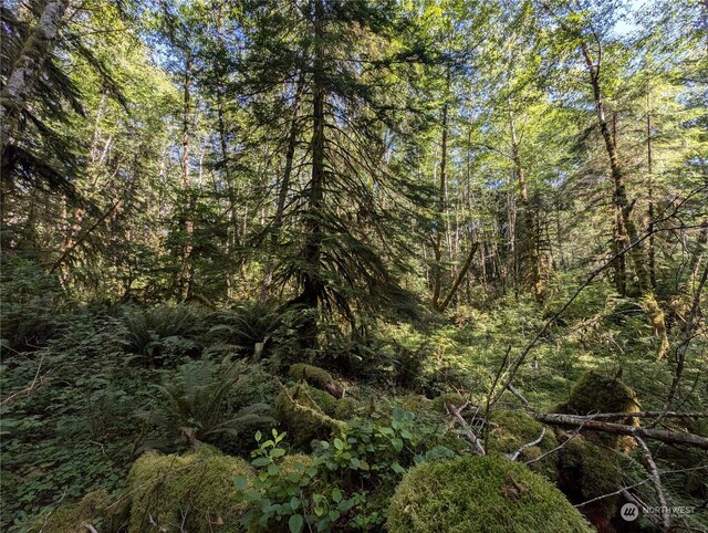 99992 Dowans Creek Rd, Forks, WA 98331