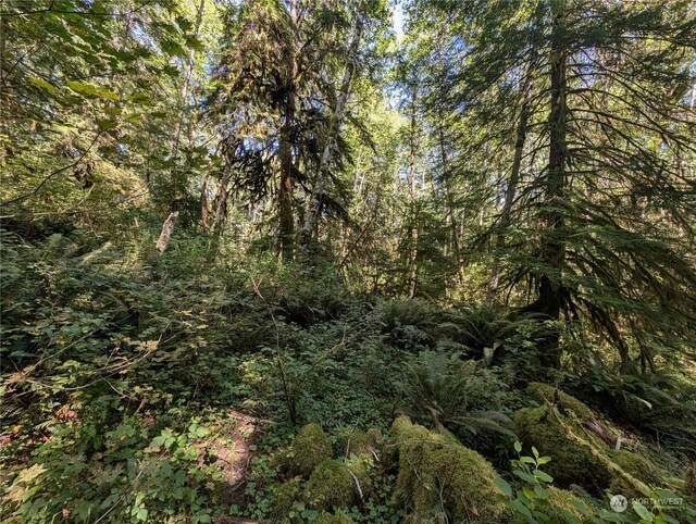 99992 Dowans Creek Rd, Forks, WA 98331