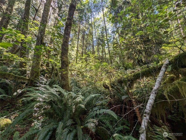 99992 Dowans Creek Rd, Forks, WA 98331