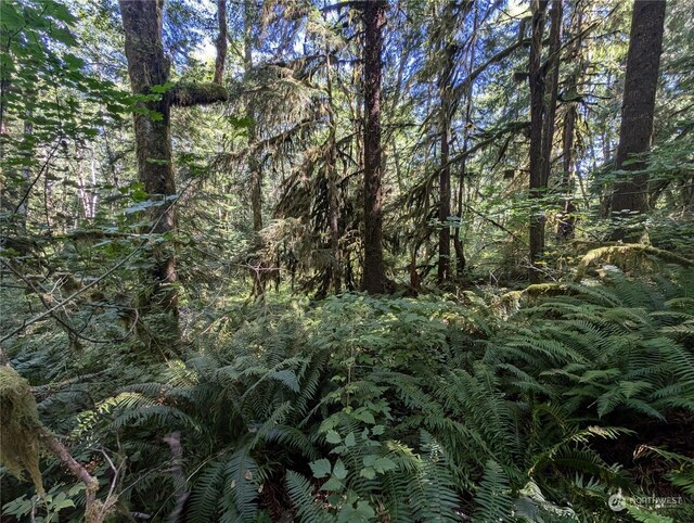 99992 Dowans Creek Rd, Forks, WA 98331