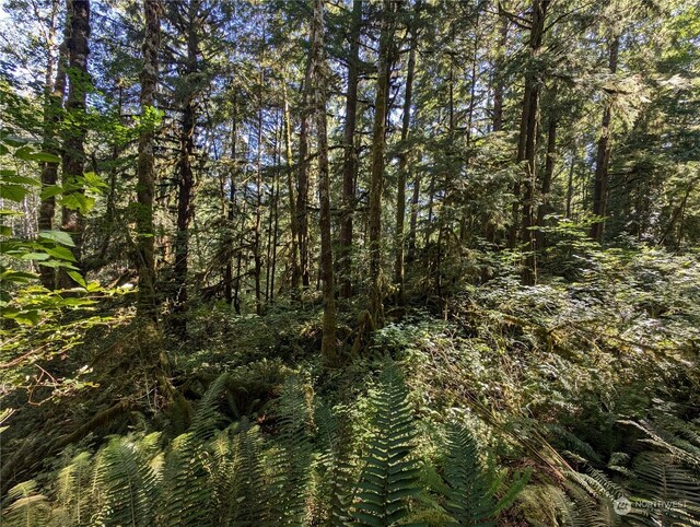 99992 Dowans Creek Rd, Forks, WA 98331