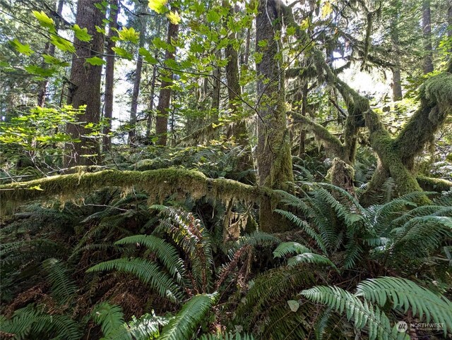 99992 Dowans Creek Rd, Forks, WA 98331