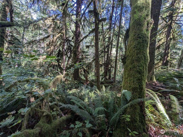 99992 Dowans Creek Rd, Forks, WA 98331