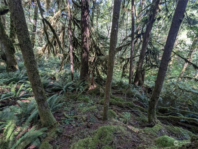 99992 Dowans Creek Rd, Forks, WA 98331
