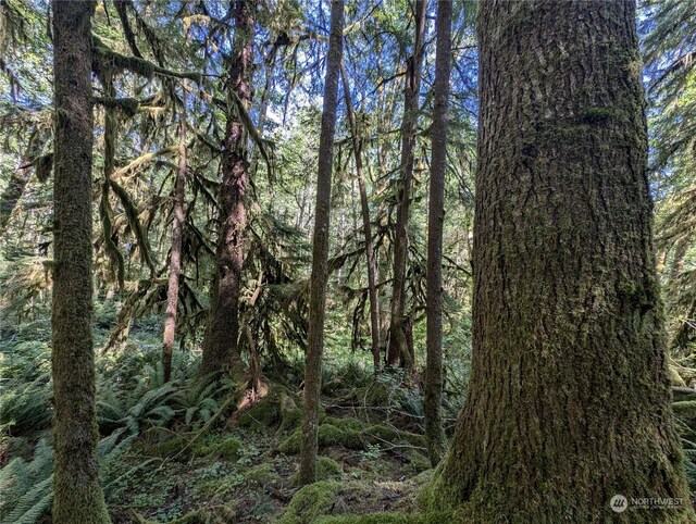 99992 Dowans Creek Rd, Forks, WA 98331