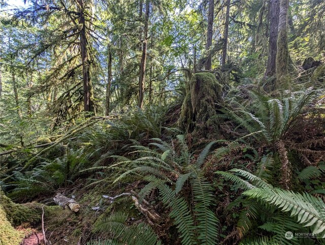 99992 Dowans Creek Rd, Forks, WA 98331