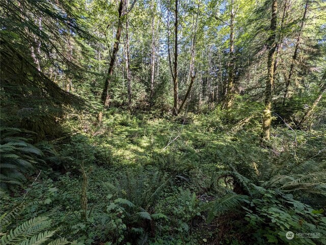 99992 Dowans Creek Rd, Forks, WA 98331