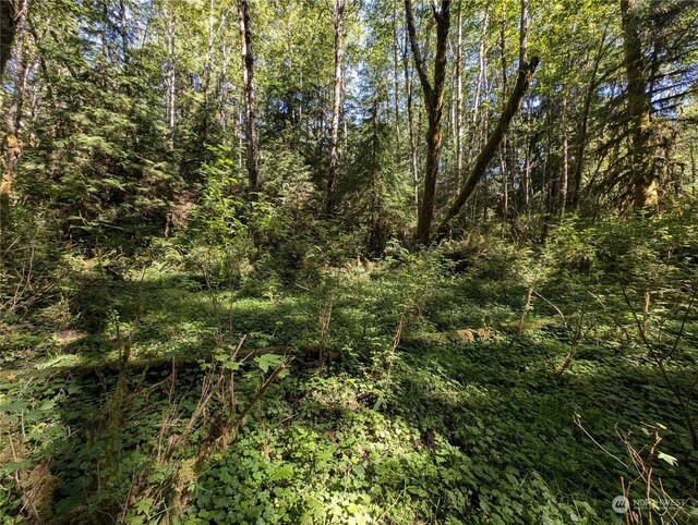 99992 Dowans Creek Rd, Forks, WA 98331