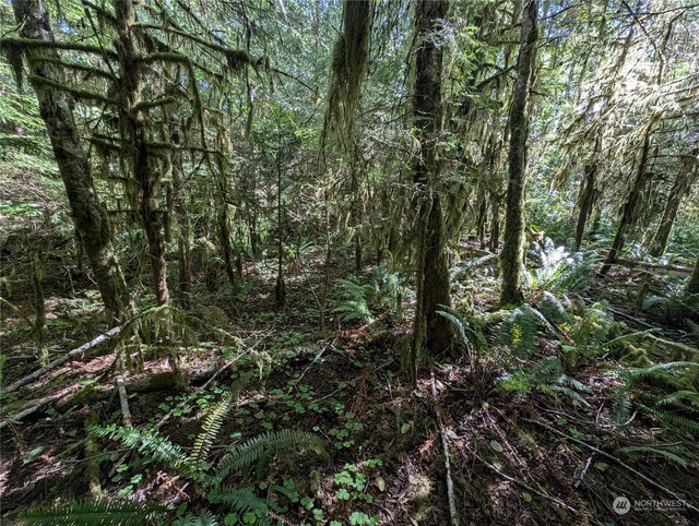 99992 Dowans Creek Rd, Forks, WA 98331