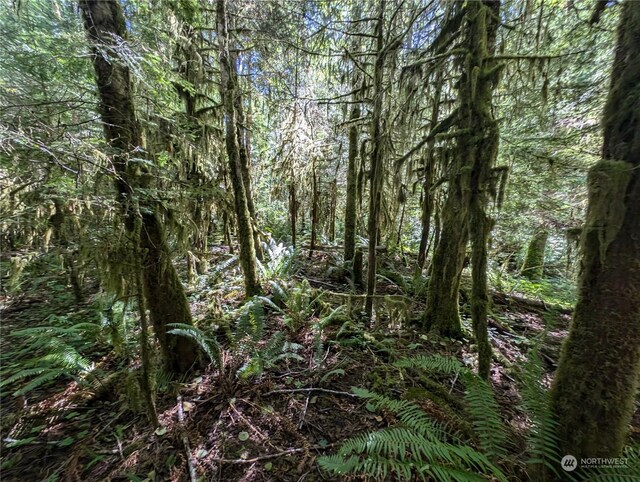 99992 Dowans Creek Rd, Forks, WA 98331