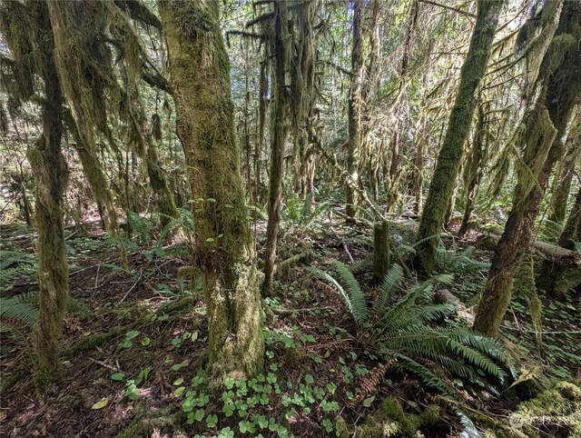 99992 Dowans Creek Rd, Forks, WA 98331
