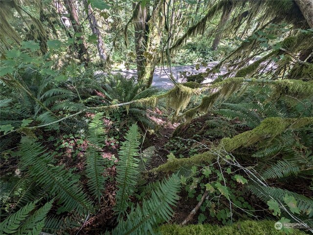 99992 Dowans Creek Rd, Forks, WA 98331