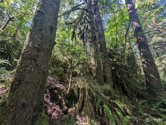 99992 Dowans Creek Rd, Forks, WA 98331