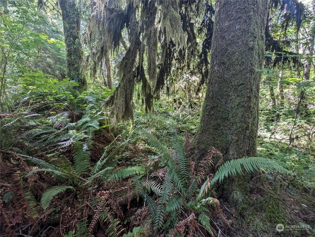 99992 Dowans Creek Rd, Forks, WA 98331