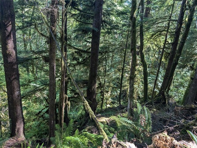 99992 Dowans Creek Rd, Forks, WA 98331