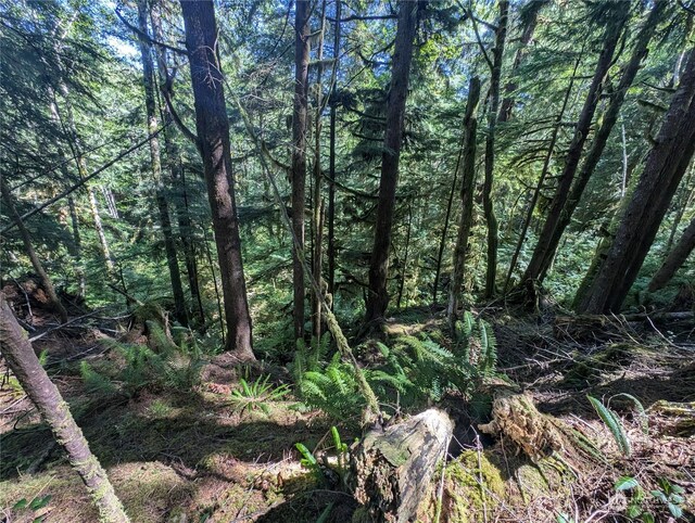 99992 Dowans Creek Rd, Forks, WA 98331