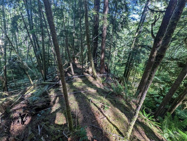 99992 Dowans Creek Rd, Forks, WA 98331