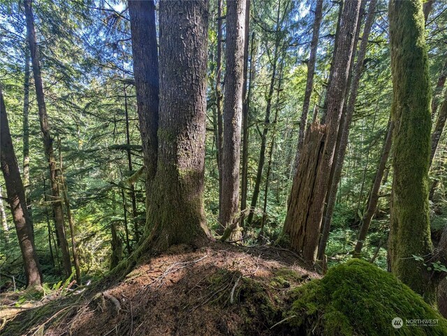 99992 Dowans Creek Rd, Forks, WA 98331