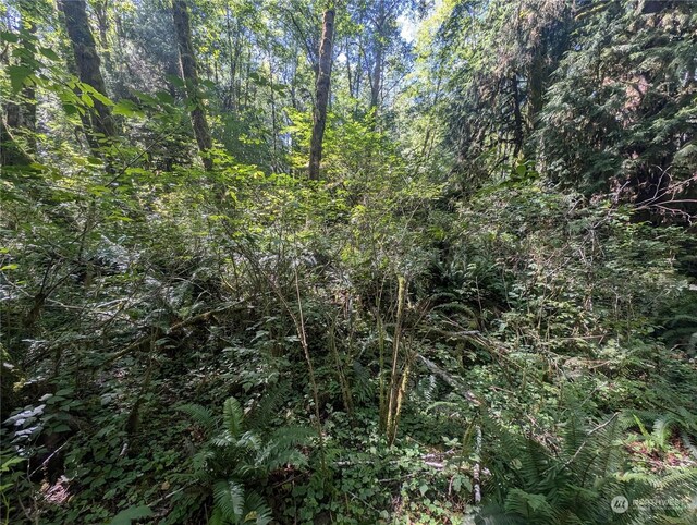 99992 Dowans Creek Rd, Forks, WA 98331