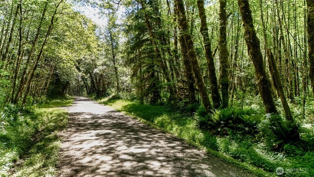 99992 Dowans Creek Rd, Forks, WA 98331