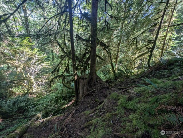 99993 Dowans Creek Rd, Forks, WA 98331