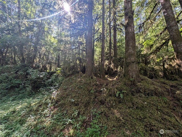 99993 Dowans Creek Rd, Forks, WA 98331