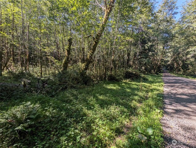 99993 Dowans Creek Rd, Forks, WA 98331